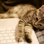 Установка и настройка Windows 7